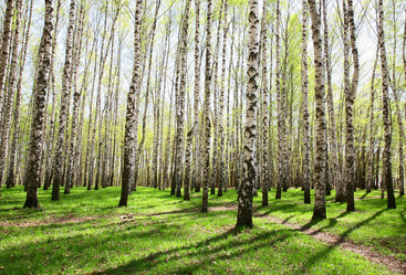 Similar image 662268