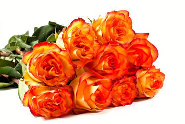 Similar image 662284