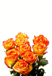 Similar image 662285