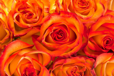 Similar image 662287