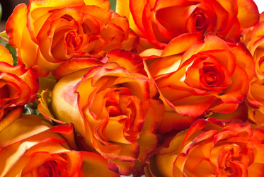 Similar image 662288