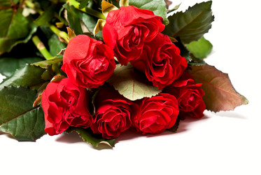 Similar image 662291