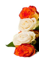 Similar image 662295