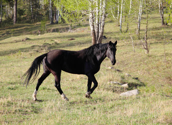 Similar image 662302