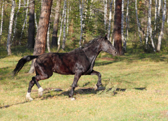 Similar image 662303