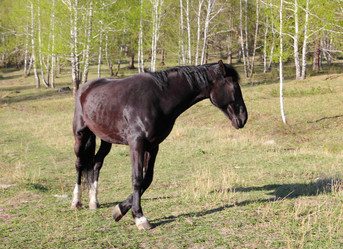 Similar image 662304