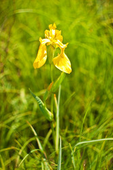 Similar image 662319