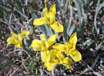 Similar image 662321