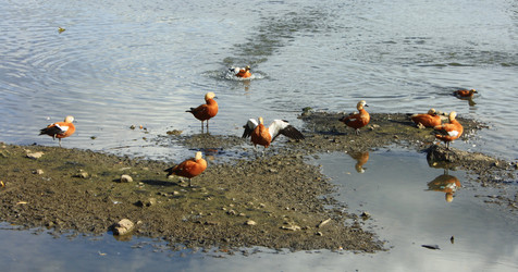 Similar image 662324