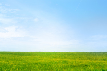 Similar image 662326