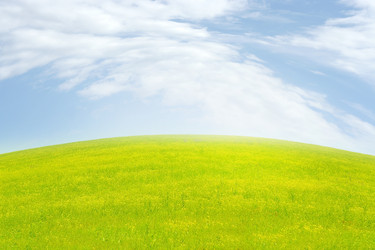 Similar image 662331