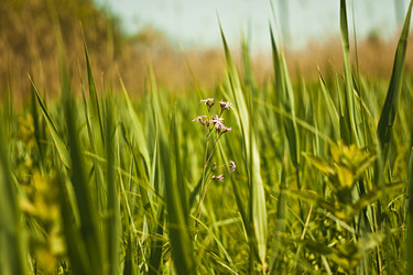 Similar image 662361