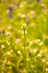 Similar image 662362