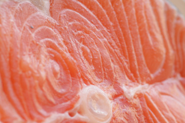 Similar image 662426