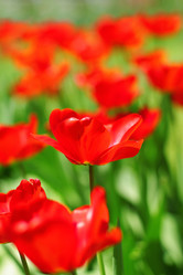 Similar image 662442