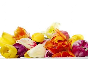 Similar image 662443