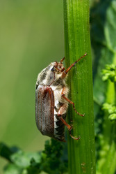 Similar image 662446