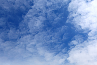 Similar image 662461