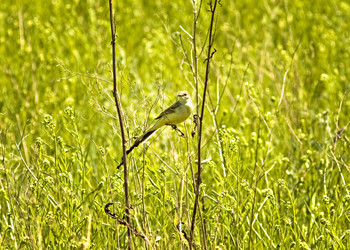 Similar image 662463