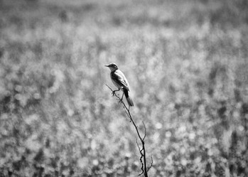 Similar image 662466