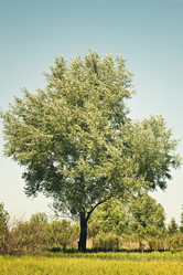 Similar image 662469