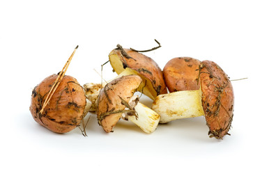 Similar image 662482