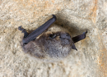 Similar image 662512