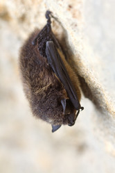 Similar image 662513