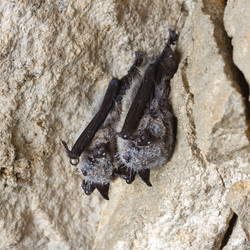 Similar image 662514