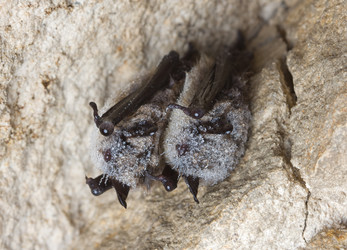 Similar image 662515