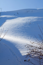 Similar image 662534