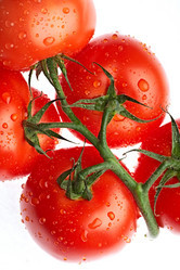 Similar image 662576