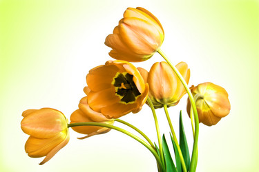 Similar image 662583