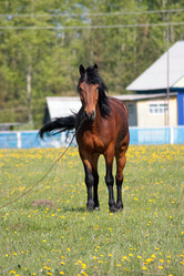 Similar image 662585