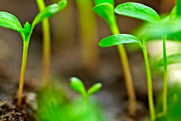 Similar image 662593