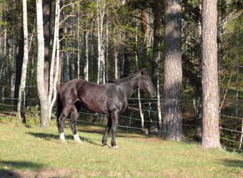 Similar image 662632