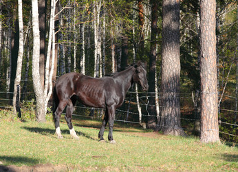 Similar image 662633