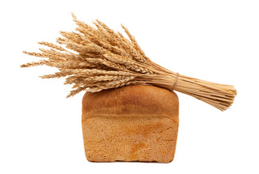 Similar image 662709