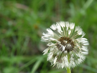 Similar image 662756