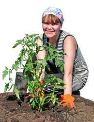 Similar image 662759