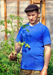 Similar image 662762