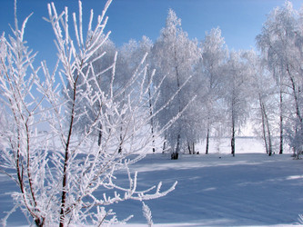 Similar image 662774