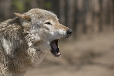 Similar image 662776