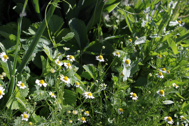 Similar image 662778