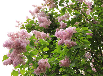 Similar image 662804