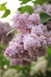 Similar image 662809