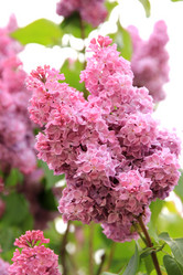 Similar image 662810