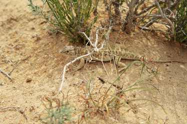 Similar image 662812