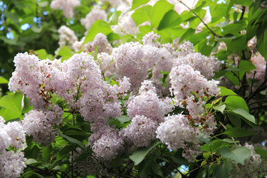 Similar image 662816