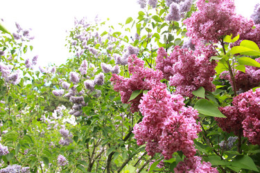 Similar image 662817